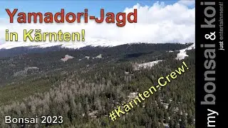 Bonsai 2023-27 - Yamadori-Jagd in Kärnten - Das Original - #KärntenCrew