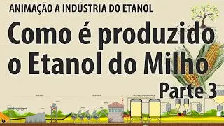 Indústria do Etanol - Como é produzido o etanol a partir do Milho - PARTE 3