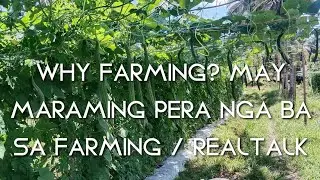 WHEN PASSION BEATS PROFESSION? ANONG MERON SA FARMING? MAY PERA BA SA FARMING? REALTALK