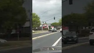 Almost Hit a Squirrel While Driving! Caught on Camera | #Shorts&rdquo;