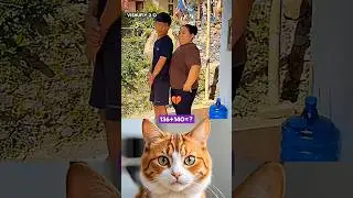 Wife Click The Picture Go To Wrong 😱🤣 #funny #dance #cat #shorts