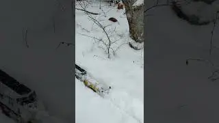 Big snow push ❄️ snow train plowing snow #locomotive #train #locomotive #railroad #locomotive viral