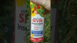 Easy way to get rid of a yellowjacket nest