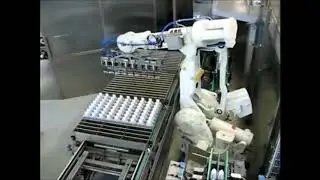 Robotizare - Solutii de Automatizare si Robotizare oferite de IHOPE Real🤖
