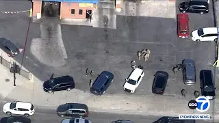 DOJ drops charges against woman shot by CBP agent in Chicago