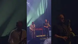 Paul Weller, 
