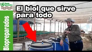 El único y MEJOR BIOFERTILIZANTE LIQUIDO 👀 que existe para tus cultivos 👀