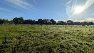 Was f&uuml;r ein wundersch&ouml;ner Morgen 🥰