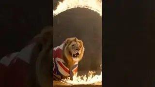 Lion fire competition #animalraces #funny #gameshow #animalcompetition #trending #shorts