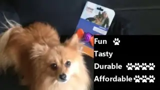 Cesar Millan Bone Bites Dog Toy Review