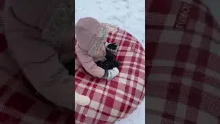 Sound on for Screams🤣🤣🤣 #shorts #shortsvideo