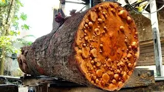 The natural beauty behind the large mahogany wood that has been transformed into boards 