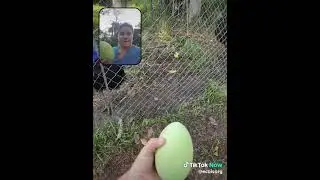Got it! 2nd egg in hand!