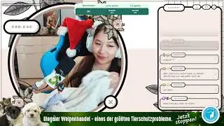 VOD | 31.12. | Charity Stream für Welpen in Not! ♥