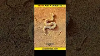 Yeh saanp ya makri? 😱Must watch #shorts