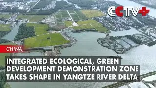 Integrated Ecological, Green Development Demonstration Zone Takes Shape in Yangtze River Delta