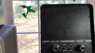 November 5, 2021 AM OSQ with NorthEast Wales GW3TMP on 15 Meters