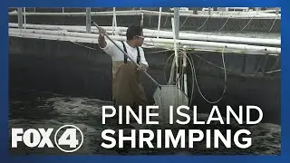 A Look at Pine Island Shrimp Farm After Hurricane Ian