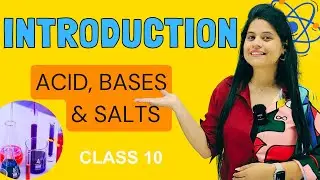 Acid, Bases & Salt | Chapter 2 | Introduction | Class 10 Science | NCERT