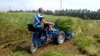 WHIRLSTON REAPER BINDER TOP RELIABLE MACHINE