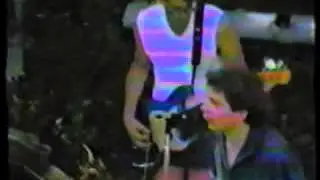 The Embarrassment - Lifespan