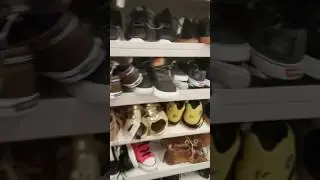 Ross The Loop