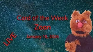 🎭  Zoon Card of the Week // Jan 18 2026 🎁