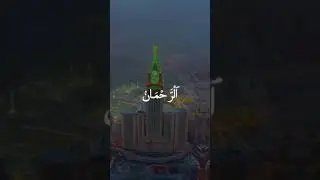 #viral #pigeon #kabbotar #video #love #kbootr #kabotar #attitude #kbooter #funy