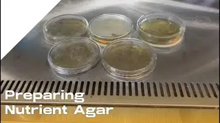 Preparation of Nutrient Agar
