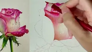 Detailed Tutorial on Orange Roses Draw in Simple and Easy Way #art #trendingvideo #go2goart