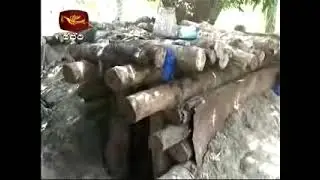 033 Wanni Meheuma   2008 07 15