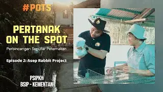 POTS Pertanak On The Spot: Asep Rabbit Project