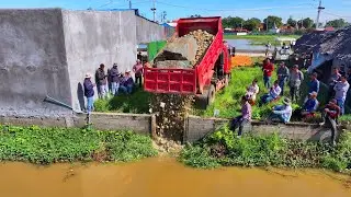 Nice work Delete Pond Clear water ! Dump Truck 5Ton Delivery Soil with Old Bulldozer Push Soil