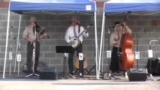 Mike Hertzog Blue Mountain Gang Trio, Feast Here Tonight