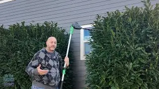 how to trim tall bushes, cordless hedge trimmer