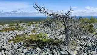 Kaarestunturi &ndash; Summer Hike in Lapland #arctic #adventure #hiking #lapland #ebikes