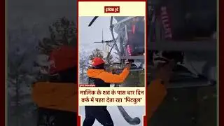 The limit of loyalty in Himachal: Pitbull stood near the dead body of the owner in subzero cold |...