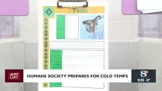 Extreme cold: pet safety