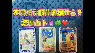 神灵对你的传讯是什么？塔罗占卜💗🍀🔮∞