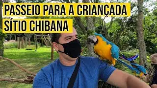 Sitio Chibana - Ibiùna - SP