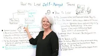 How to Lead Self-Managed Teams - Project Management Training