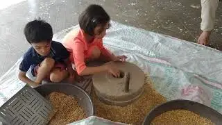 Ancient chakki which now is very rare