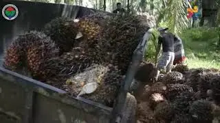 Nagari Lubuk Malako