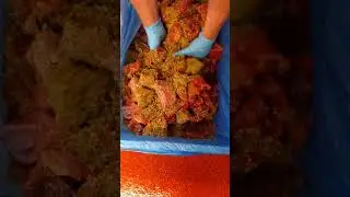 Boerewors Spice