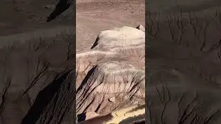 Nature's Time Capsule: The Petrified Forest Mystery