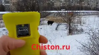 Чистон 11 антидог против бродячих собак