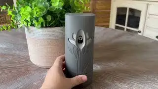 Air Wick Automatic Air Freshener Spray Refill, 2ct, Lavender & Chamomile Review