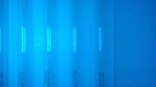stratagene test