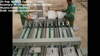 Stacking System for Egg Tray box carton Machine production line