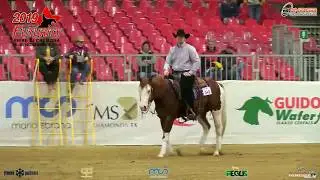 Futurity 2019 - MATTEO GOTTARDO & NO TRIP NO GUN score 204,5